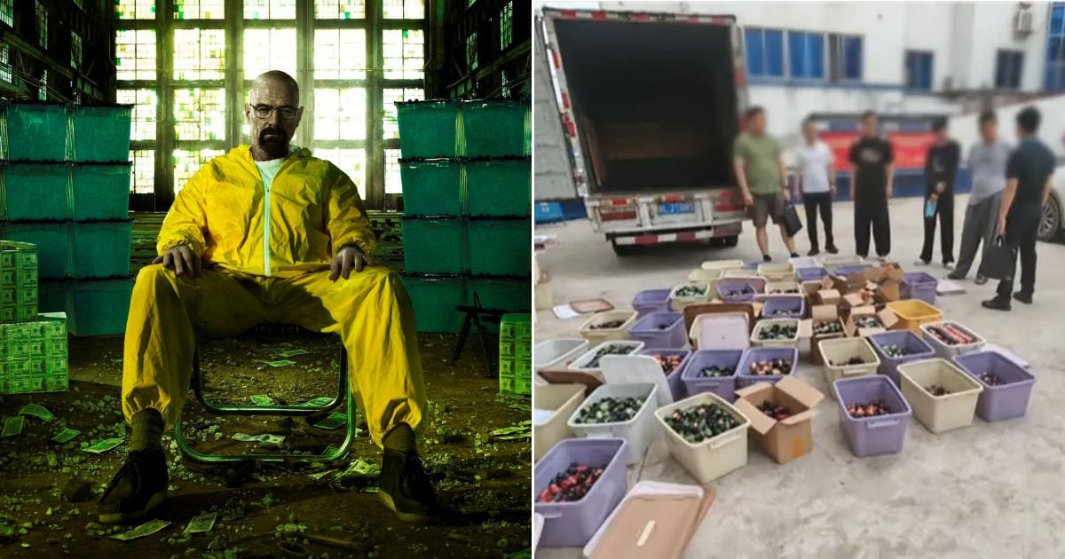 Real-Life ‘Breaking Bad’ Professor Arrested In China