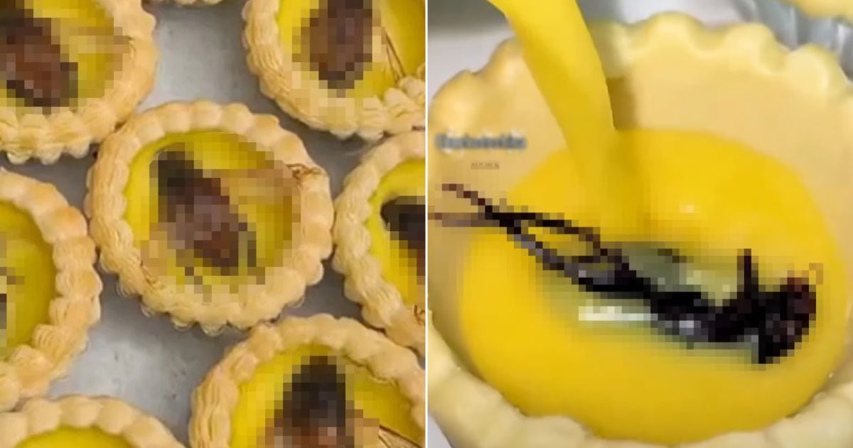 People Are Paying RM18 For Egg Tarts Topped With Giant Water Beetles