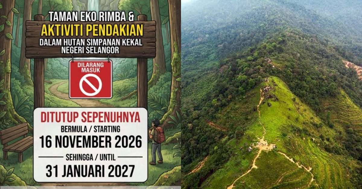 Hutan Simpan Kekal Selangor Ditutup Sehingga 31 Januari 2027, Aktiviti ‘Hiking’ Dilarang