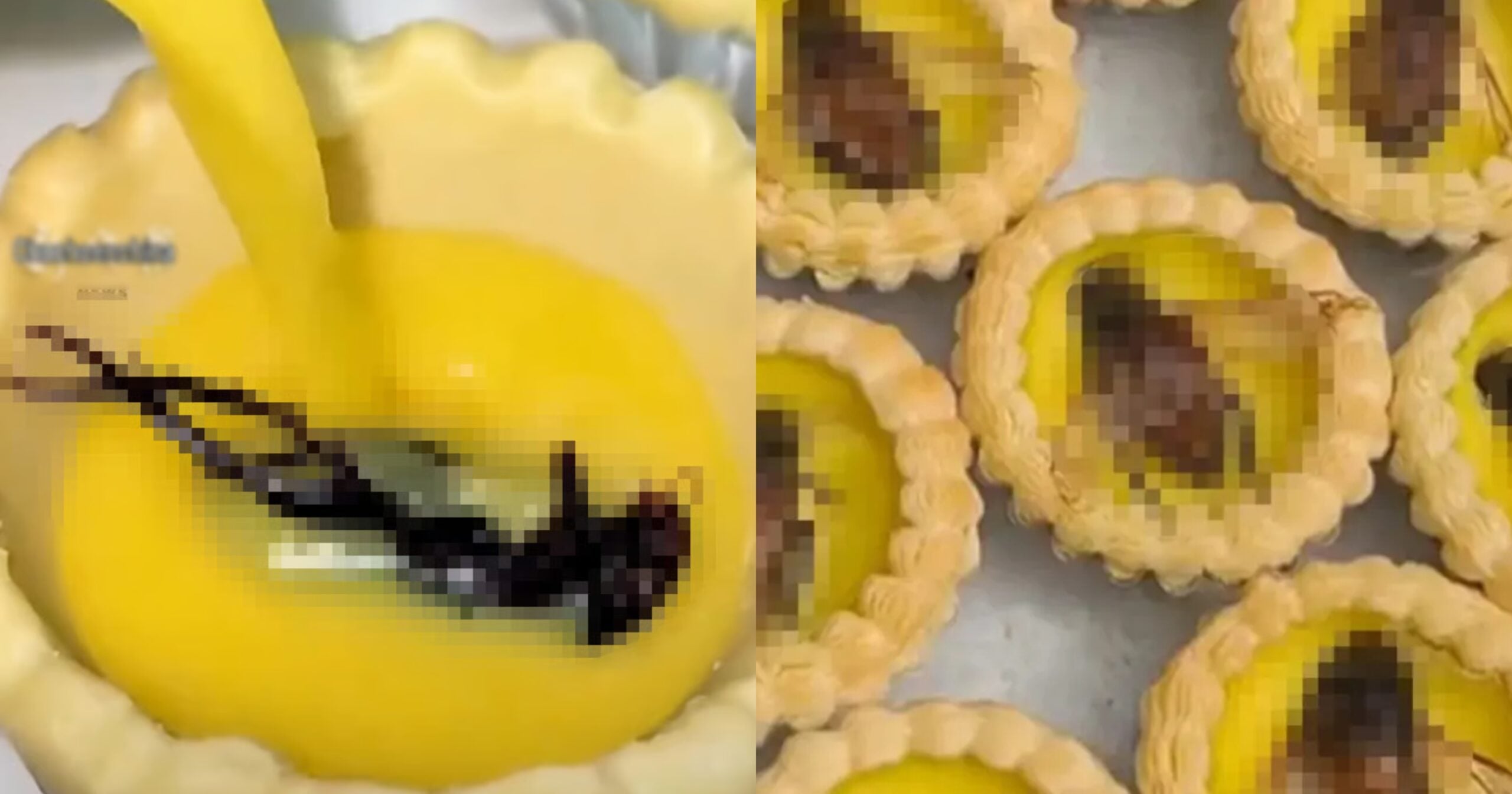 Ada Yang Sanggup Bayar RM18 Beli & Makan Egg Tart ‘Topping’ Kumbang Air Gergasi
